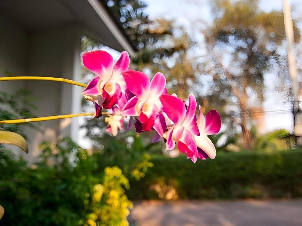 Chayada Garden House And Resort Hotel Nakhonratchasima Exterior foto